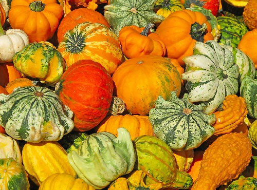 農(nóng)產(chǎn)品配送